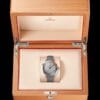 Omega Seamaster Planet Ocean Grey Dial Japanese Automatic Men's Watch