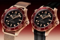 OMEGA Seamaster Diver 300M In Bronze Gold and Burgundy With Extra Strap