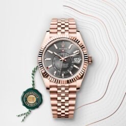 Rolee_x Oyster Perpetual Sky Dweller Copper-Grey