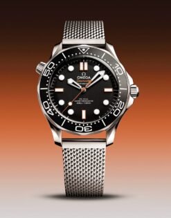 Omegg_a Seamaster Diver 300 Automatic