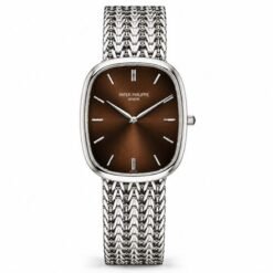 Patek Philippe Golden Eclipse Silver Brown