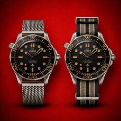 Omega Seamaster Diver 300M Dual Strap